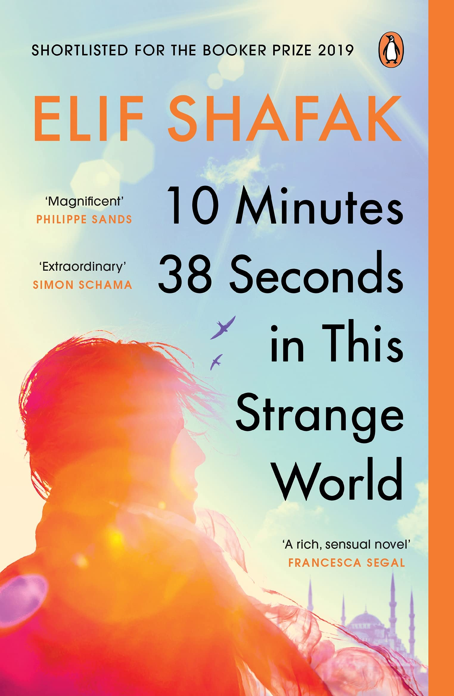 10 Minutes 38 Seconds in This Strange World by Elif Shafak