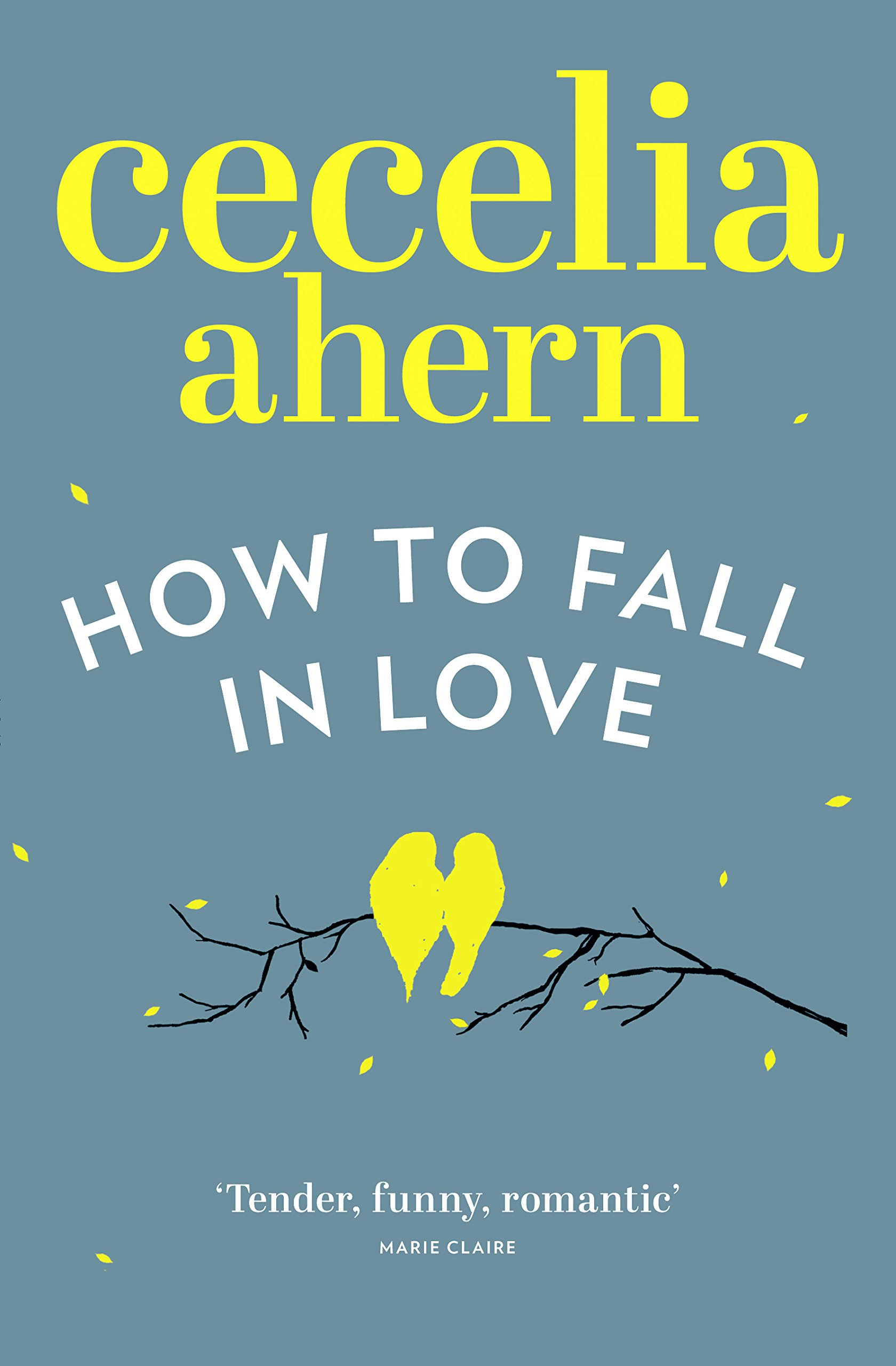 How to Fall in Love by Cecelia Ahern