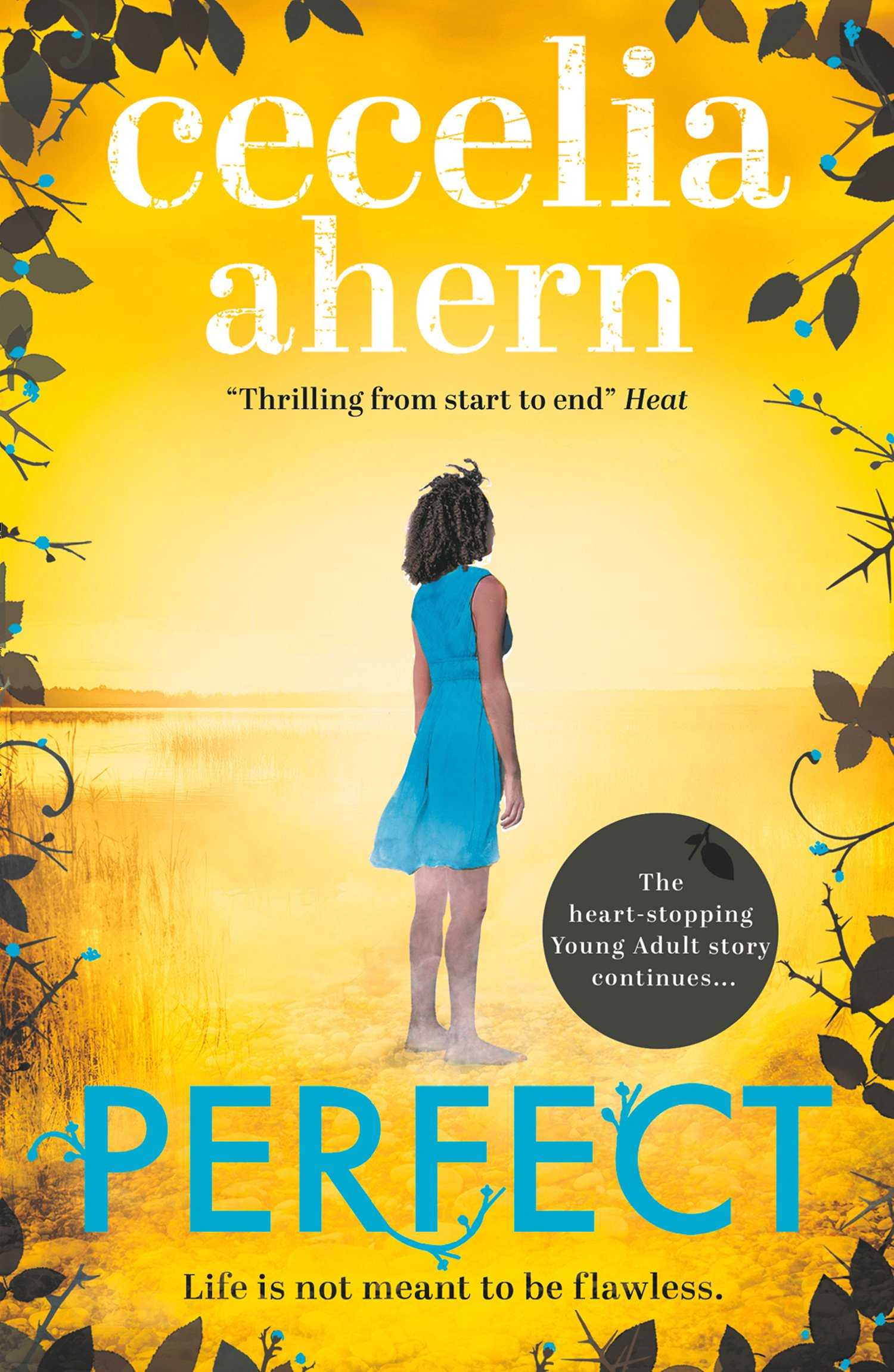 Perfect by  Cecelia Ahern 