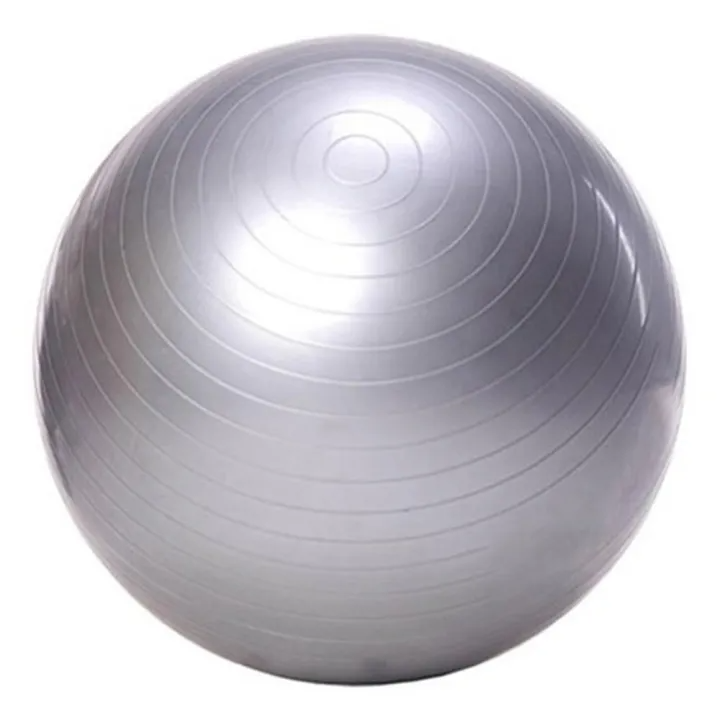 Anti- Burst Gym Balls 65 Cm Exercise Ball Gym Ball With Hand Pump