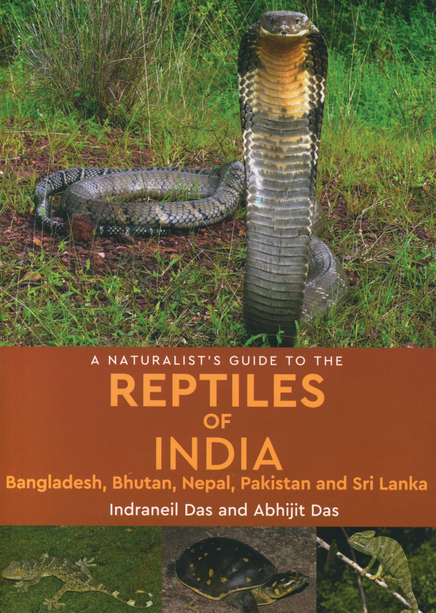 A Naturalists Guide To The Reptiles Of India (Core List, Bestseller) by Indraneil Das and Abhijit Das