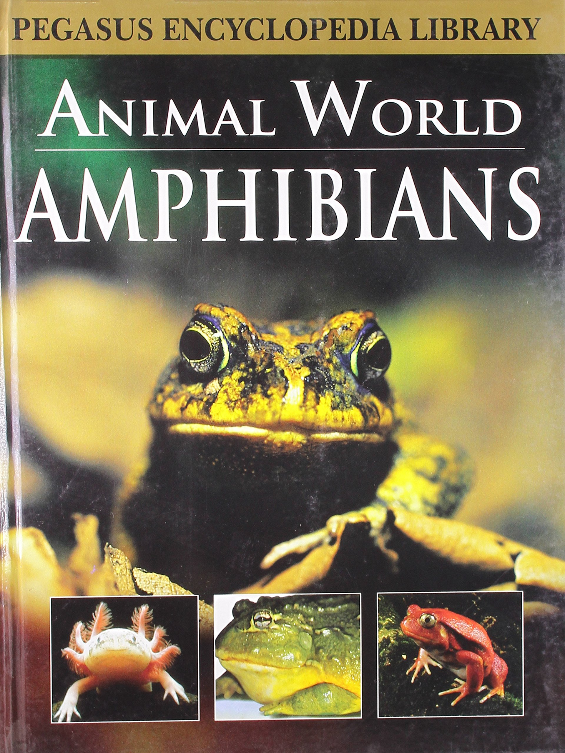 Amphibiansanimal World by Pegasus