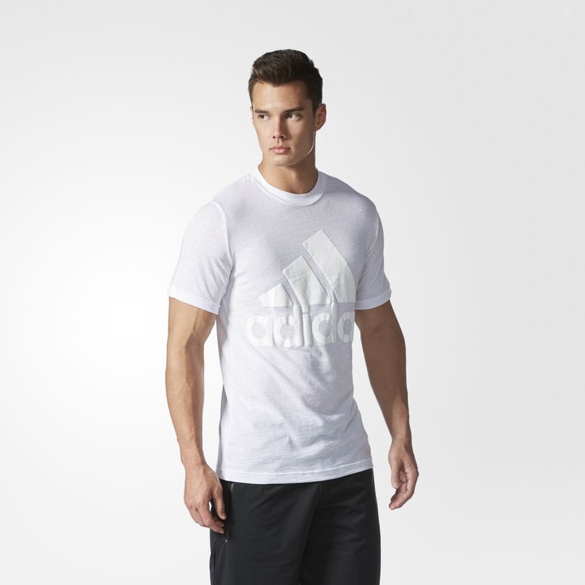 Adidas Basic Logo Graphic Tshirt For Men B48046