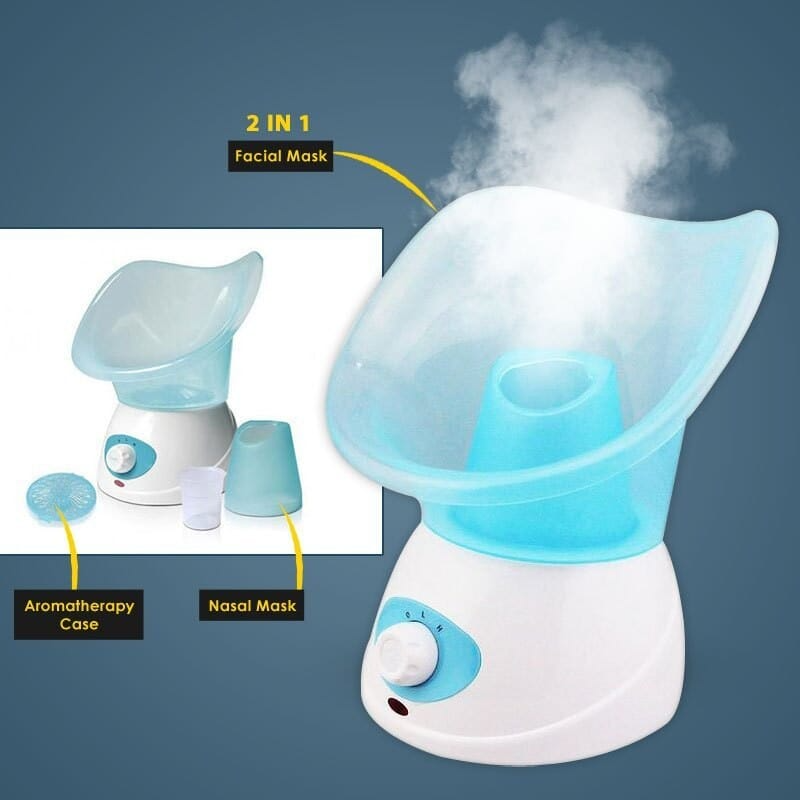 Benice Steamer