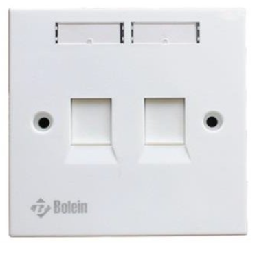 Bolein BLF-502012-C63 - Double Faceplate with Cat6 RJ45 Jack and Cat3 RJ11 Jack