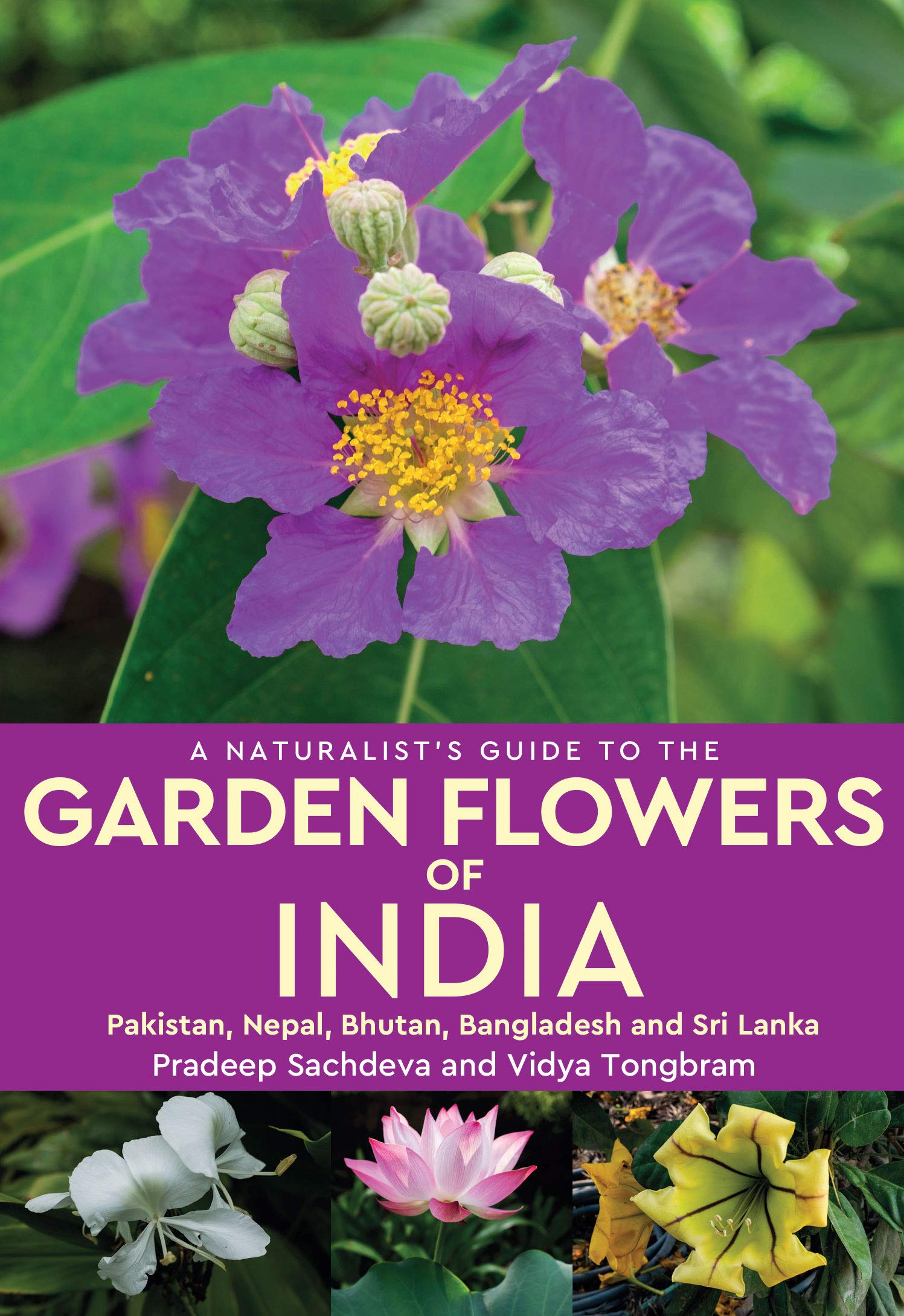 A Naturalist’s Guide to the Garden Flowers of India By Pradeep Sachdeva and Vidya Tongbram