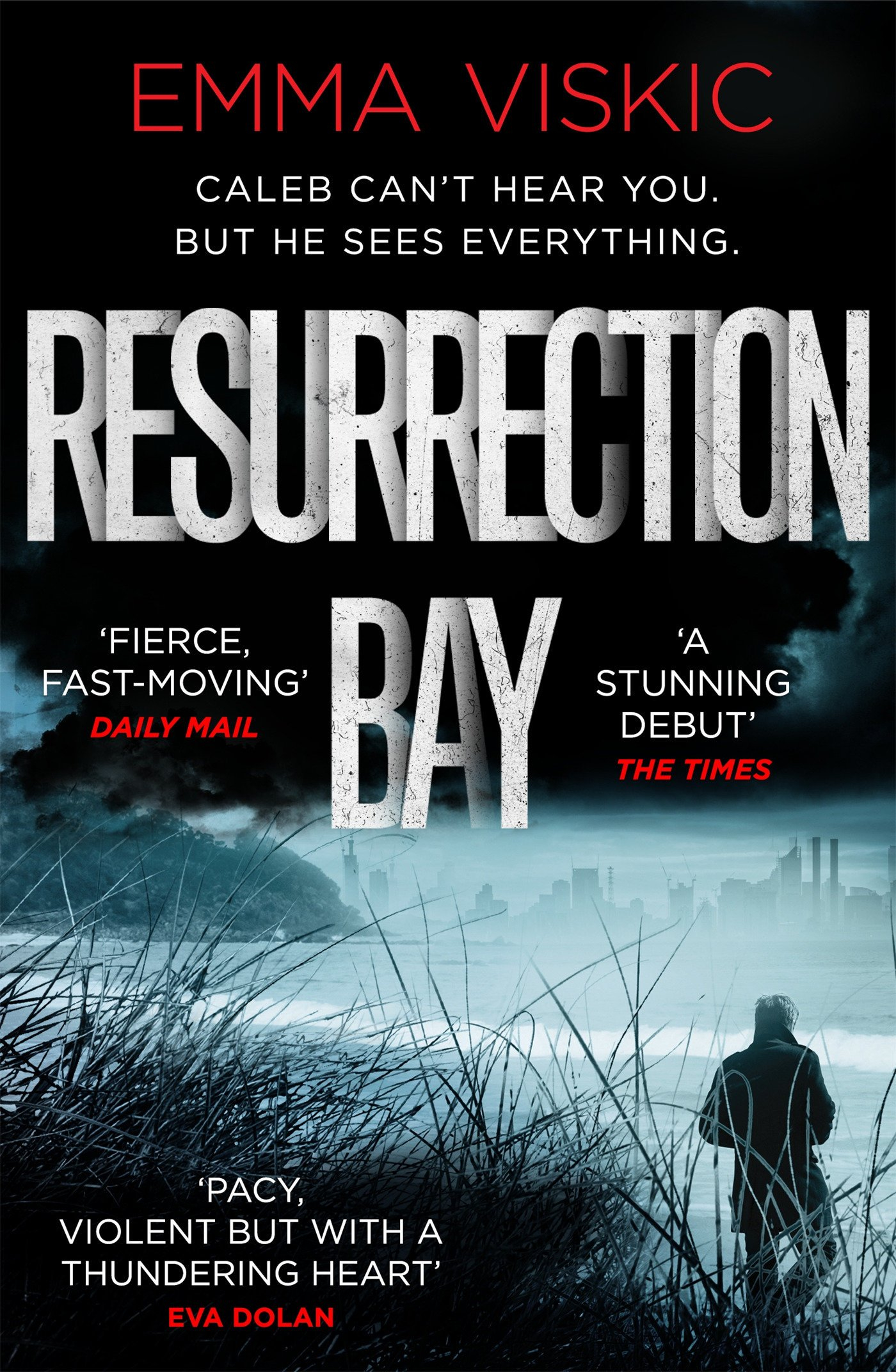 Resurrection Bay By Emma Viskic