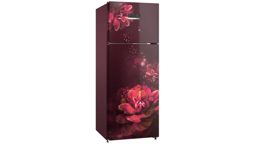 Bosch Series 6 263 Litres 4 Star Frost Free Double Door Convertible Refrigerator with Temperature Display (CTC27W24EI)