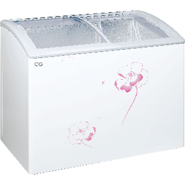 CG Chest Freezer 250ltr CGCF2503CG 