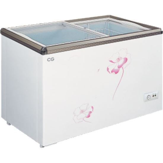 CG Chest Freezer 330 Ltrs CGDF3303FG