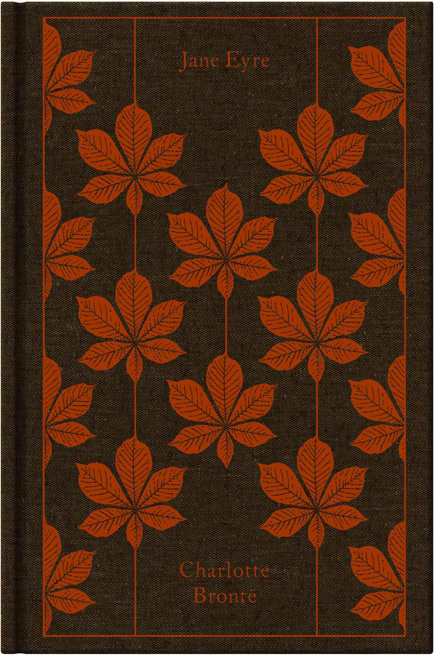 Jane Eyre by Charlotte Brontë, Stevie Davies (Introduction)