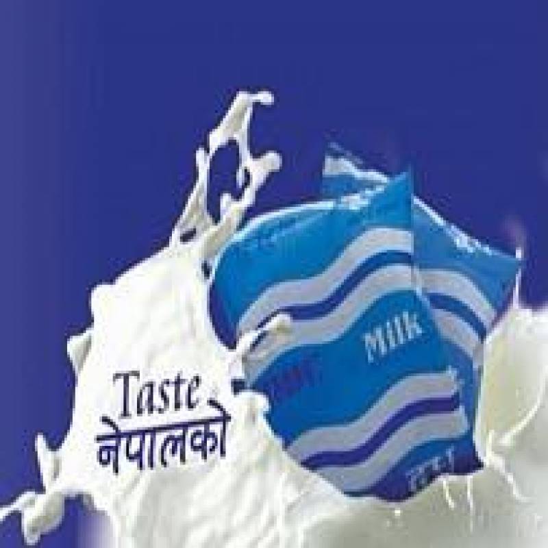 DDC Standard Milk (500 ml)
