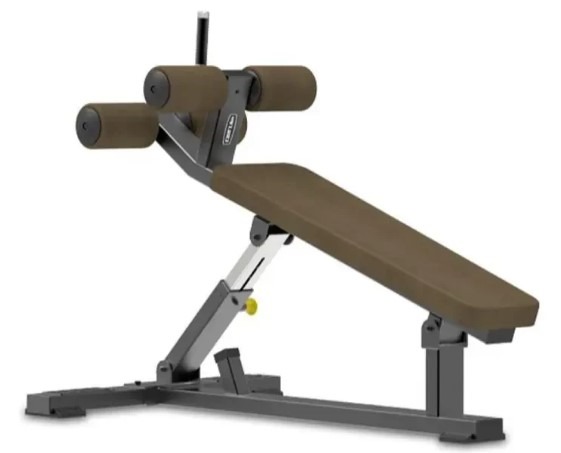 Dhz FB8029 Adjustable Sit up Bench