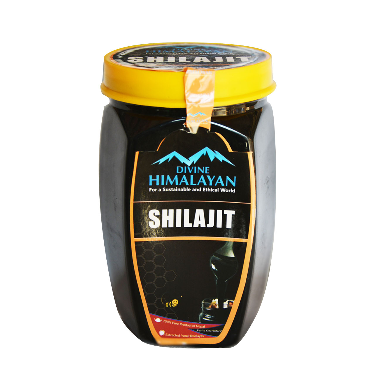 Divine Himalayan Shilajit 250g