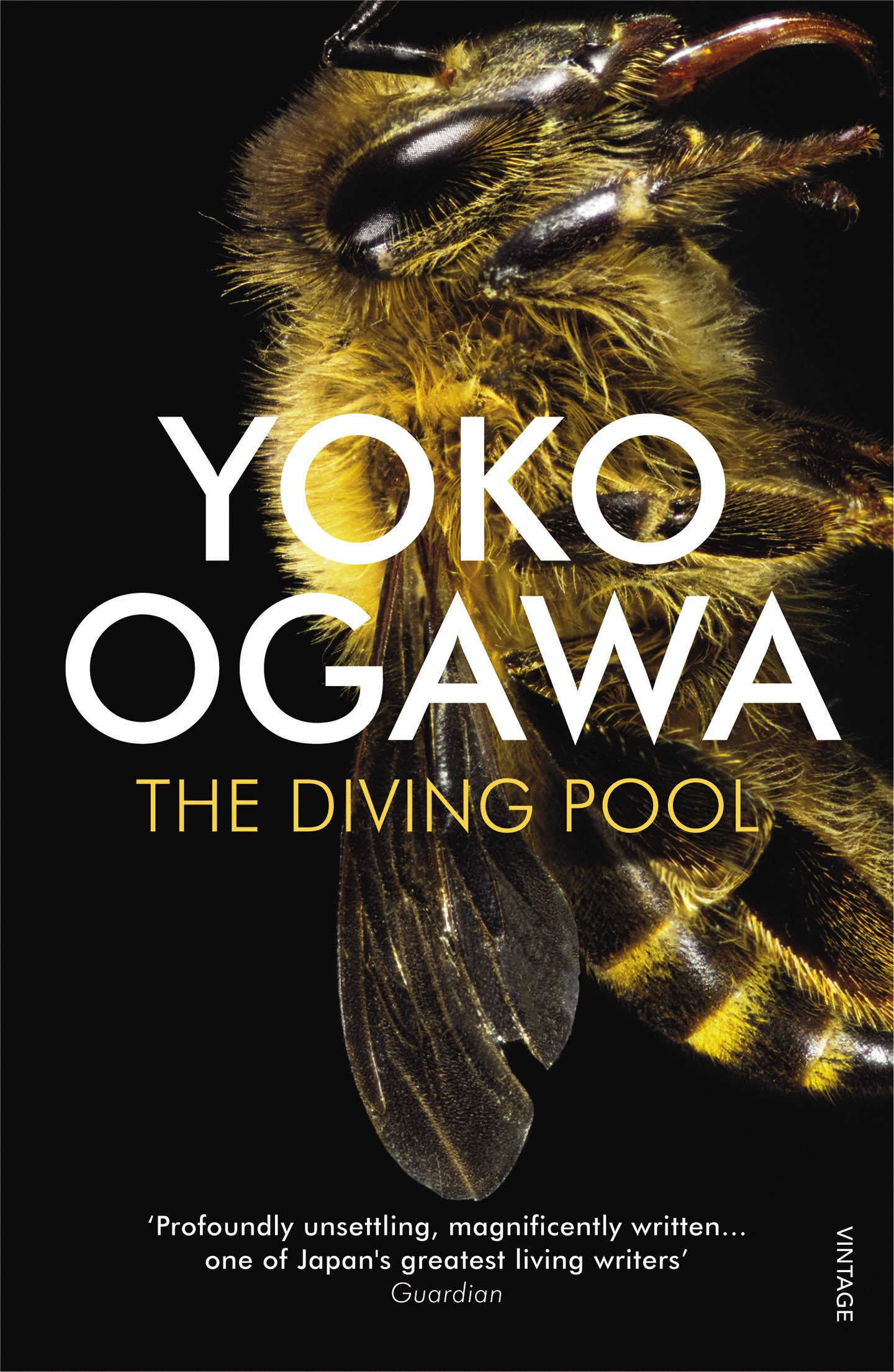 The Diving Pool by Yōko Ogawa, Stephen Snyder