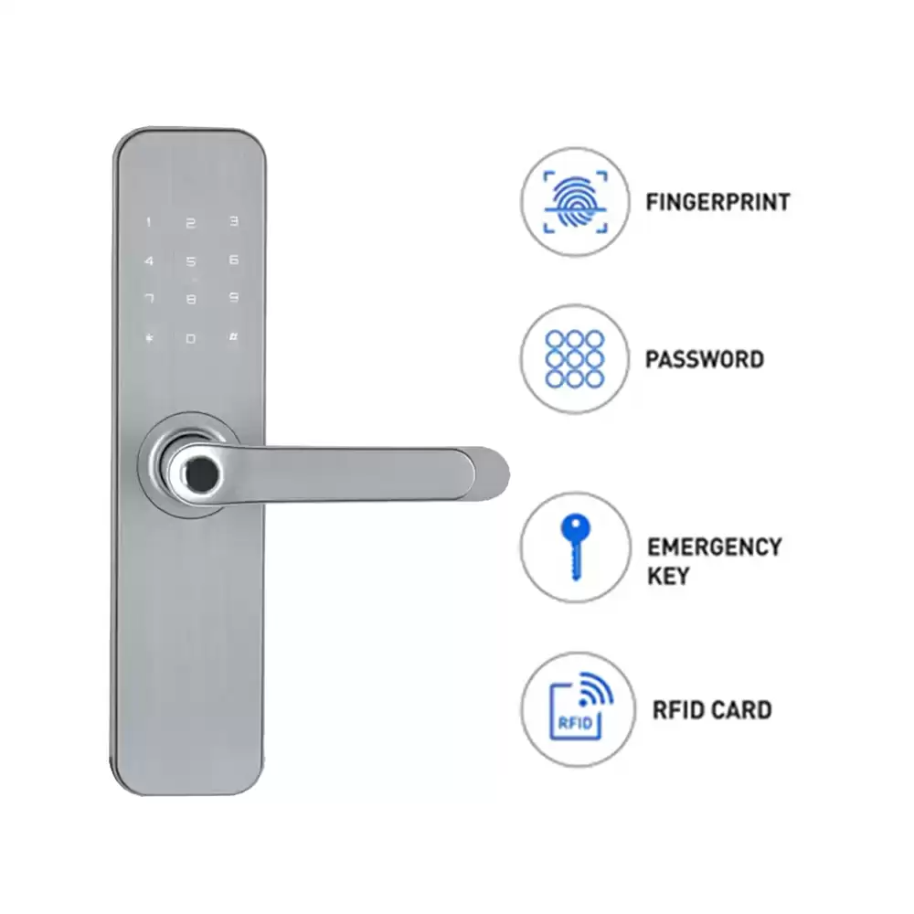 Dorset DG 202 Msn - Digital Door Lock Mortise Smart Door Lock for Home With Fingerprint, Pin Code, RFID, Key Access