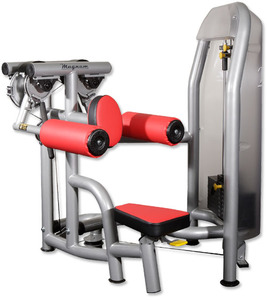 F1-5015 Deltoid Raise (WNQ)