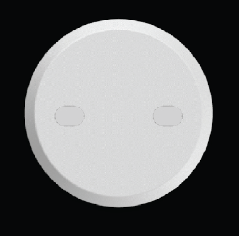 Electra Electric Round Plate