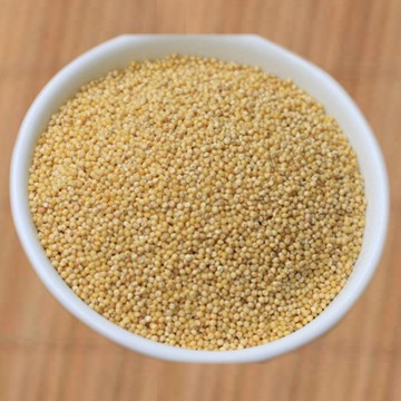 Essential Living barnyard millet 500g