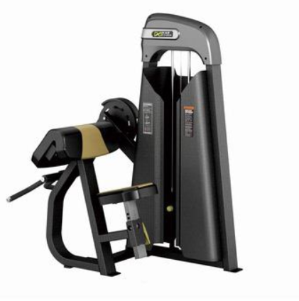E3030 Bicep Aem Curl Magnum (DHZ)