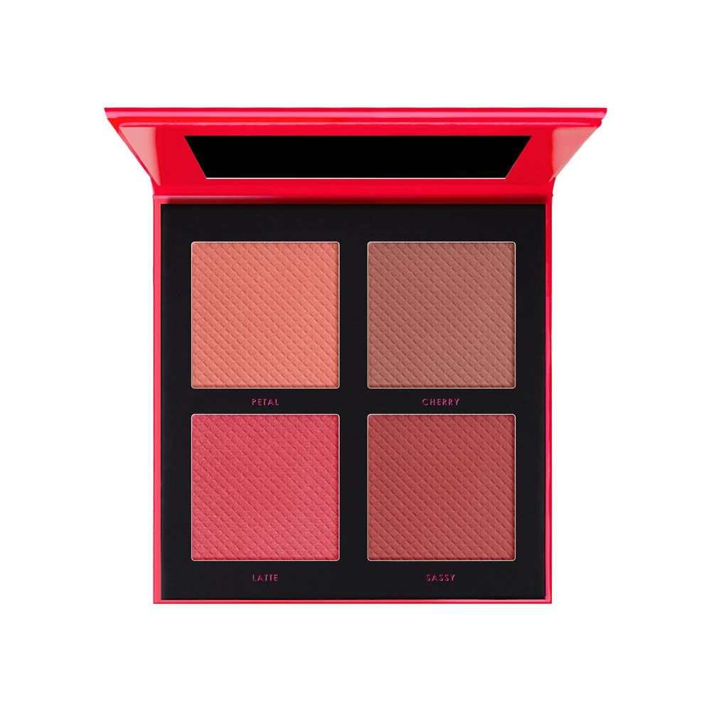Daily Life Forever52 Cheek To Cheek Blush Palette – DGB004