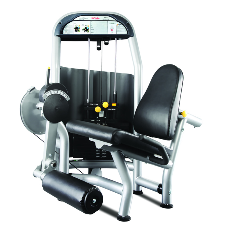 F1-5001 Leg Extension (WNQ)