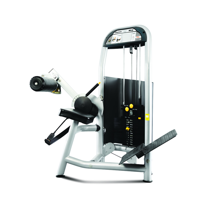 F1-5008 Back Training (WNQ)