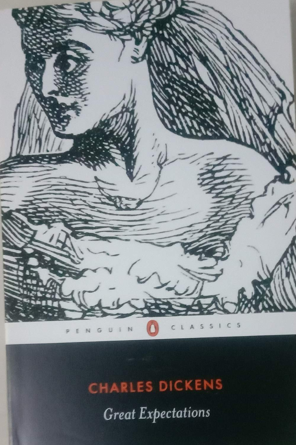 Great Expectations by Charles Dickens, David Trotter (Introduction), Charlotte Mitchell (Editor)