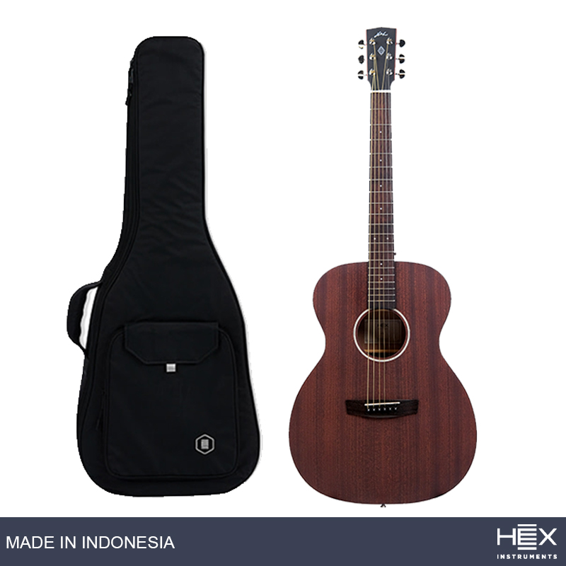 Hex Beta F72 M Acoustic Guitar with Standard Gig Bag