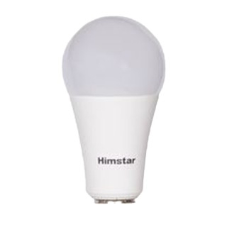 Himstar 14 Watt Classic Bulb A67