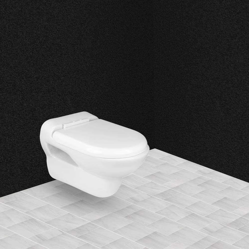 Hindware Dove Wall Mounted Water Closet