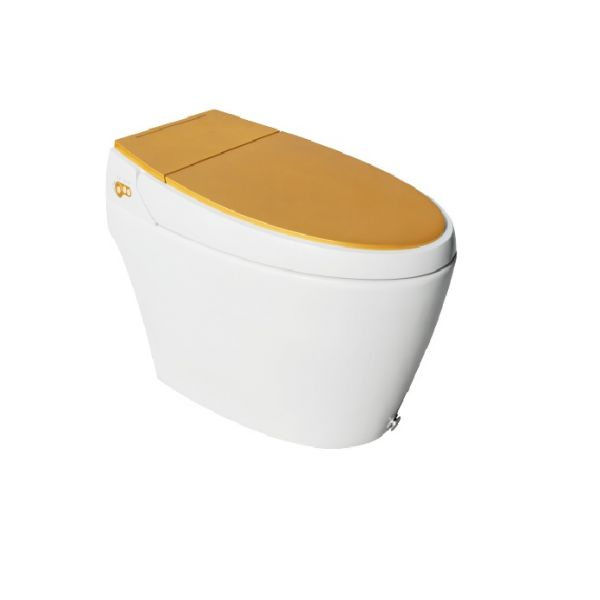 Hindware Automate Intelligent Water Closets (S. GOLD)