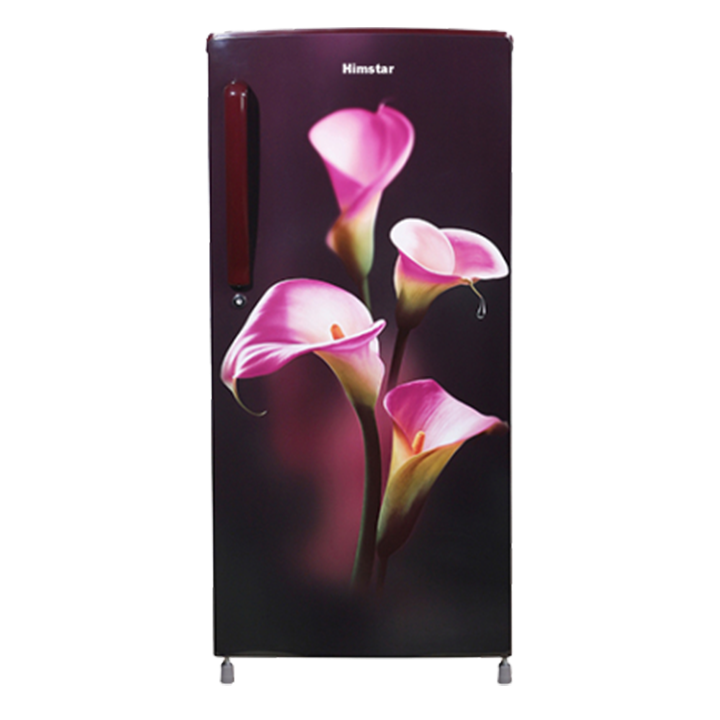 Himstar Fridge HS-HR-215CREG - Refrigerator