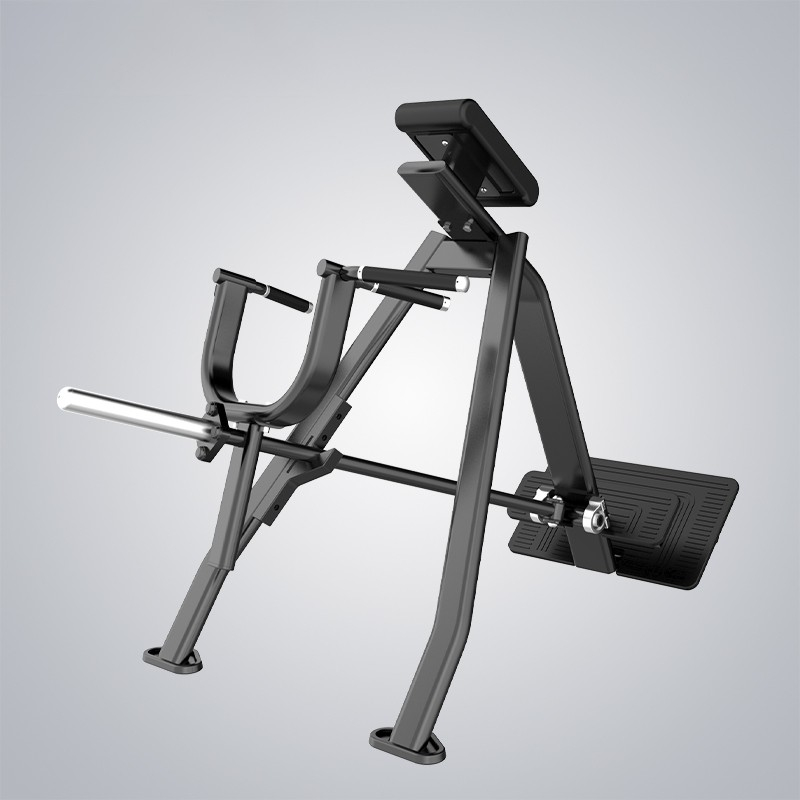 DHZ Gym Equipment E7061 Incline Level Row