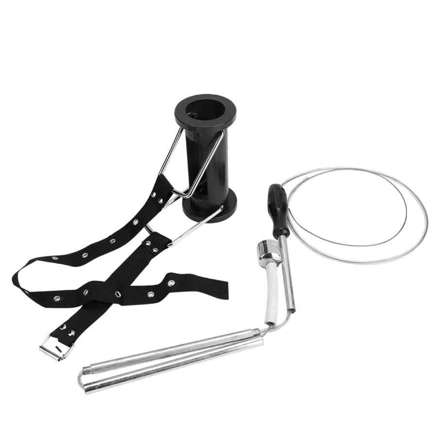 Iron Absorber For Animal Stomach