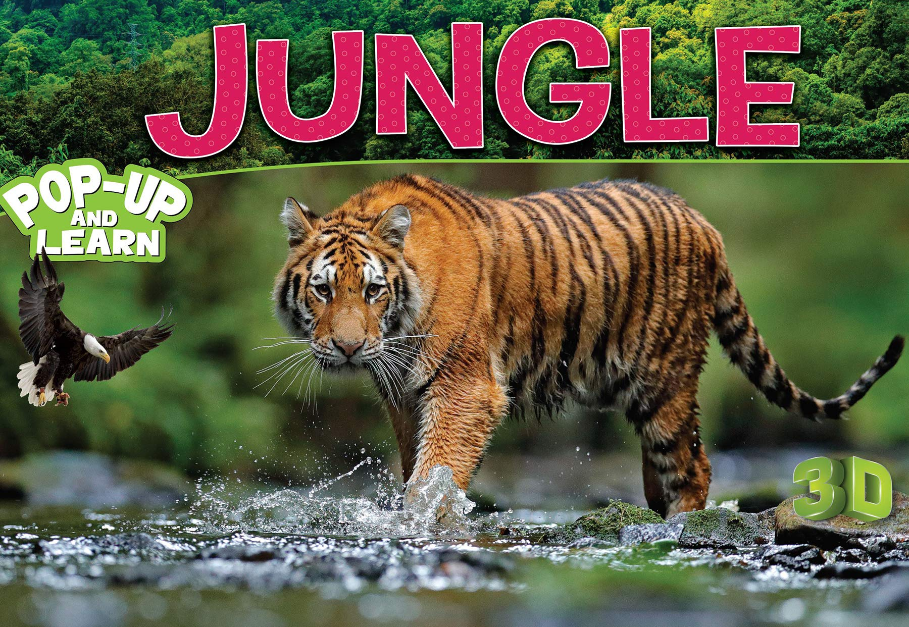 Jungle - 3D Pop-up Book by Team Pegasus