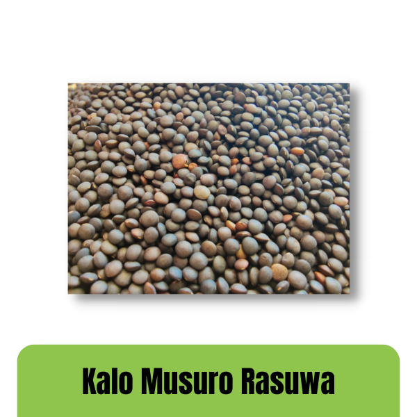 White Lotus  Kalo musuro  (कालो मुसुरो दाल) Dal Rasuwa 1 Kg