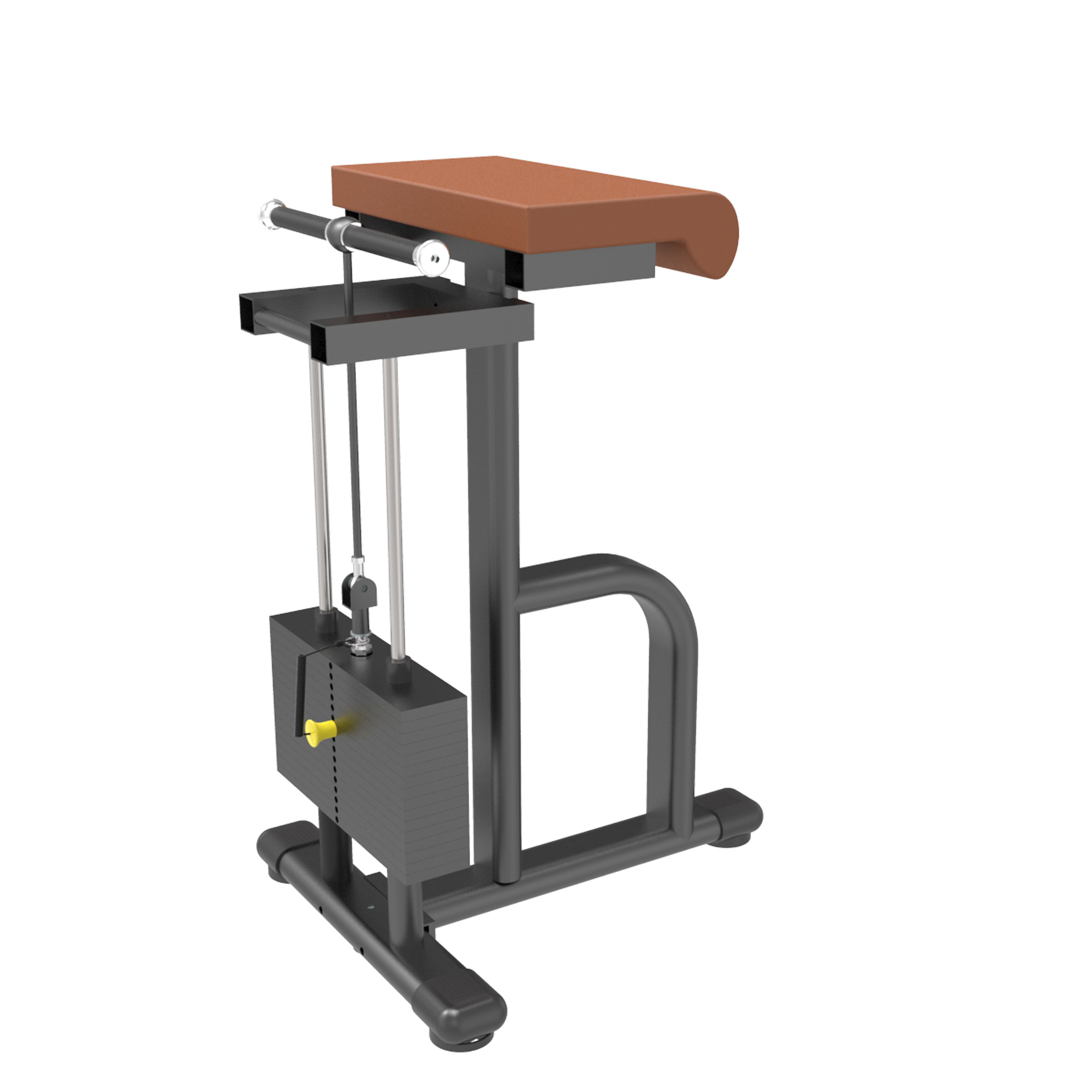 DFT Wrist Curl KJ-1268