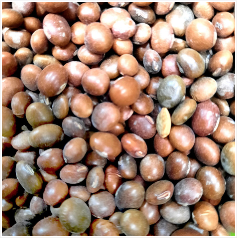 Krishi Fresh Kherau Bhatmas 500gm