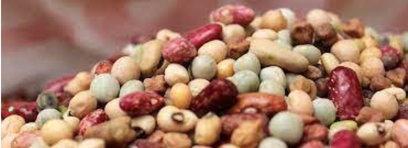 Krishi Fresh Kwati 500gm