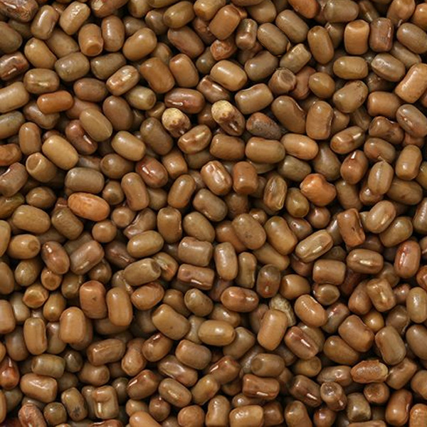 Krishi Fresh Masyang Geda 500gm
