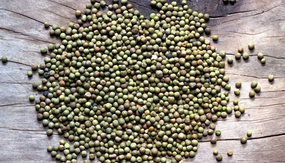 Krishi Fresh Sano Kerau 1Kg