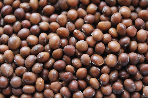 Life Agro Brown Soyabean 1Kg