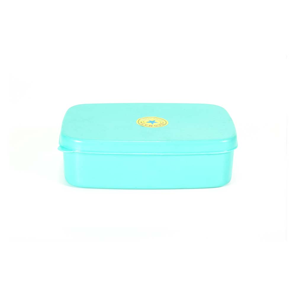Bagmati Oval Lunch Box 802