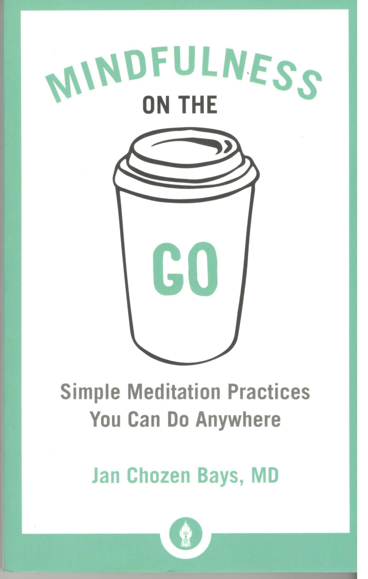 MINDFULNESS ON THE GO by Jan Chozen Bays