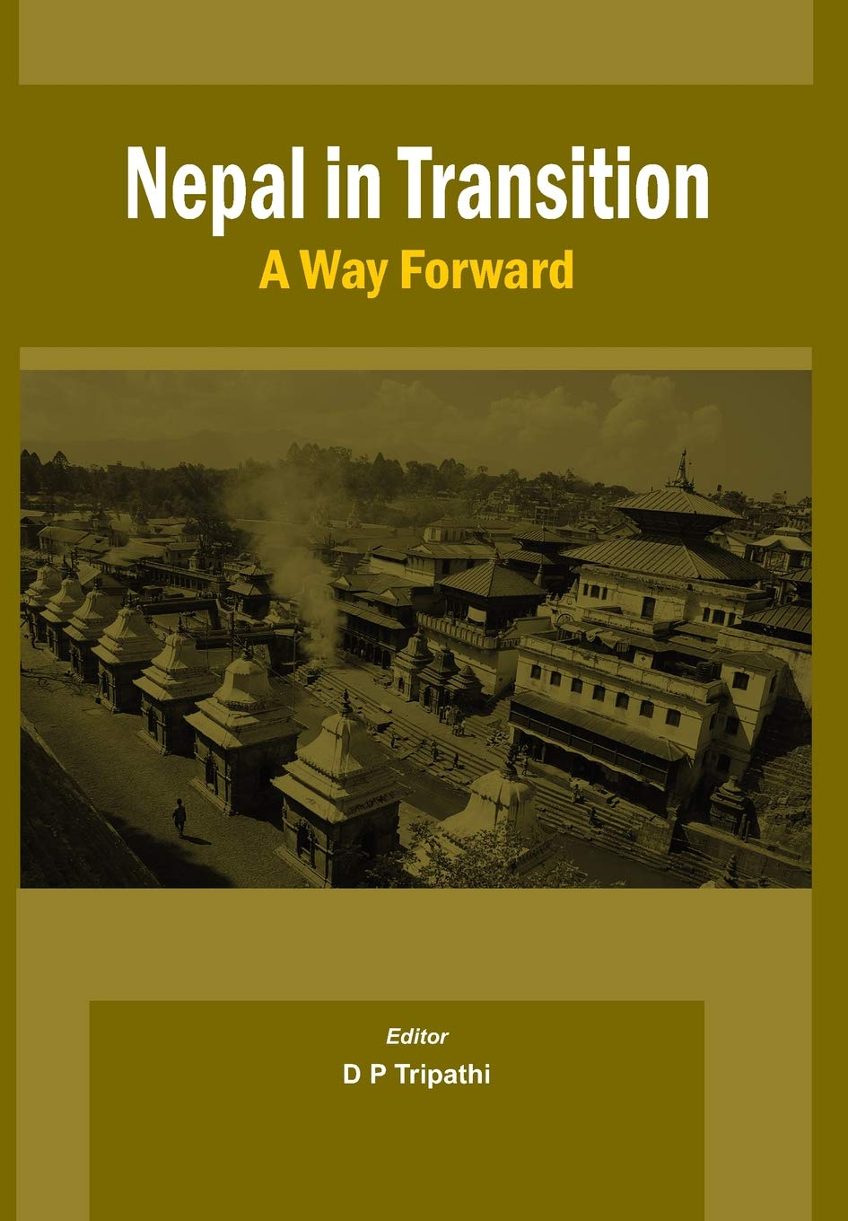 Nepal in Transition: A Way Forward by D.P. Tripathi (Editor)