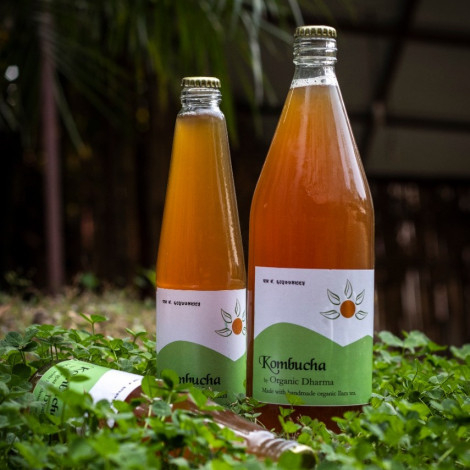 Organic Dharma Plain Kombucha-1000ml