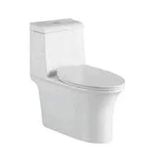 Parryware Reeve Rimless Single Piece S-220 Water Closet / Toilet-C8900