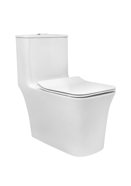 Parryware Inslim Single Piece S-290 Closet / Toilet-C8905