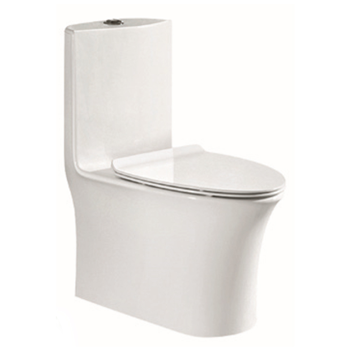 Parryware Omega Single Piece S-290 Closet / Toilet-C8906